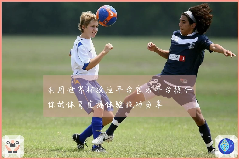 利用世界杯投注平台官方平台提升你的体育直播体验技巧分享
