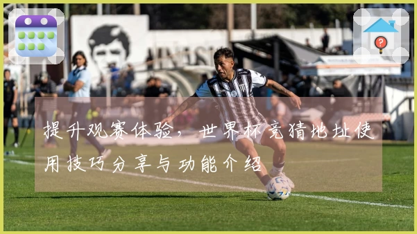 提升观赛体验，世界杯竞猜地址使用技巧分享与功能介绍