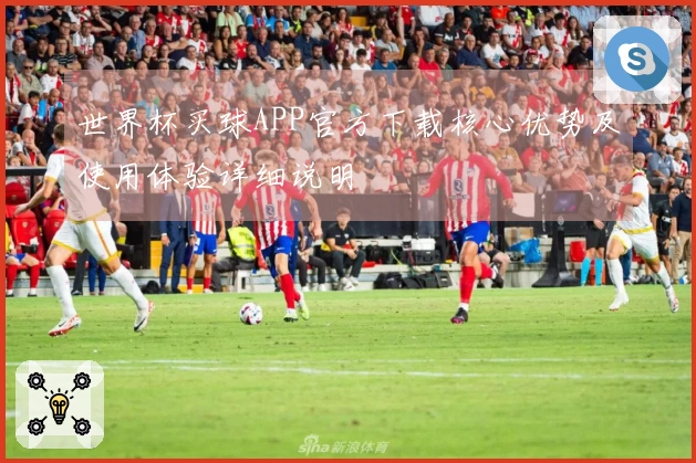 世界杯买球APP官方下载核心优势及使用体验详细说明