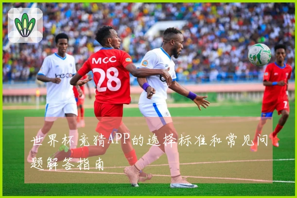 世界杯竞猜APP的选择标准和常见问题解答指南