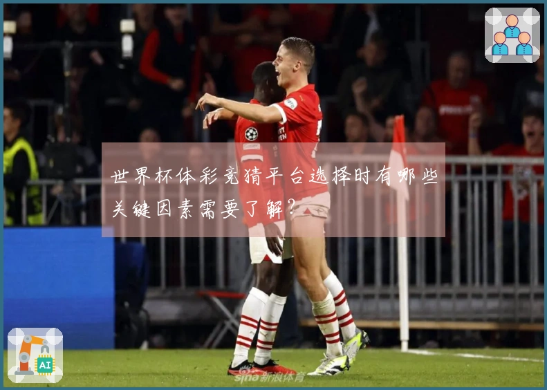 世界杯体彩竞猜平台选择时有哪些关键因素需要了解？