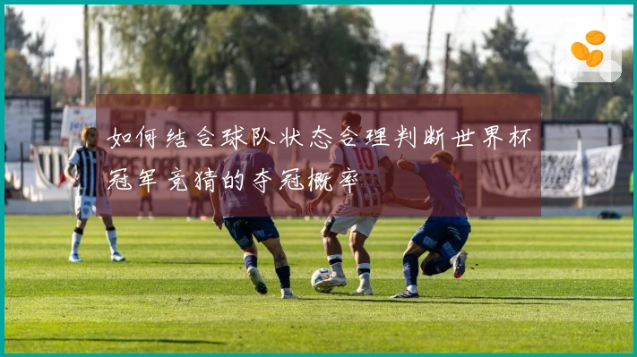 如何结合球队状态合理判断世界杯冠军竞猜的夺冠概率