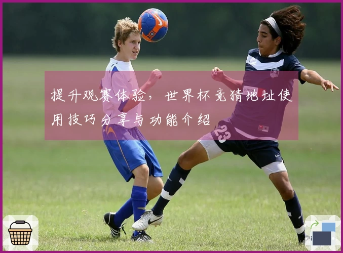 提升观赛体验,世界杯竞猜地址使用技巧分享与功能介绍