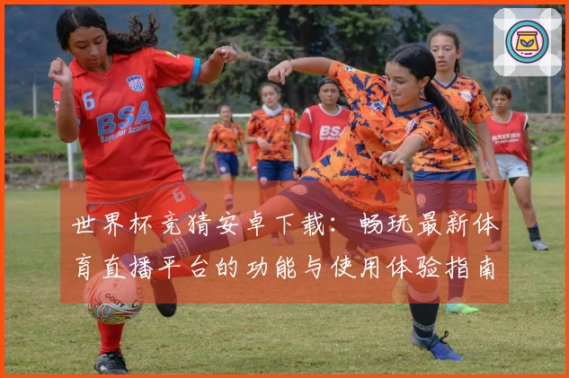 世界杯竞猜安卓下载：畅玩最新体育直播平台的功能与使用体验指南