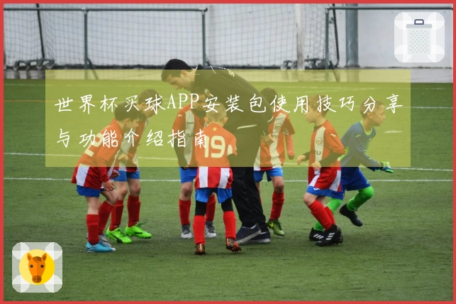 世界杯买球APP安装包使用技巧分享与功能介绍指南