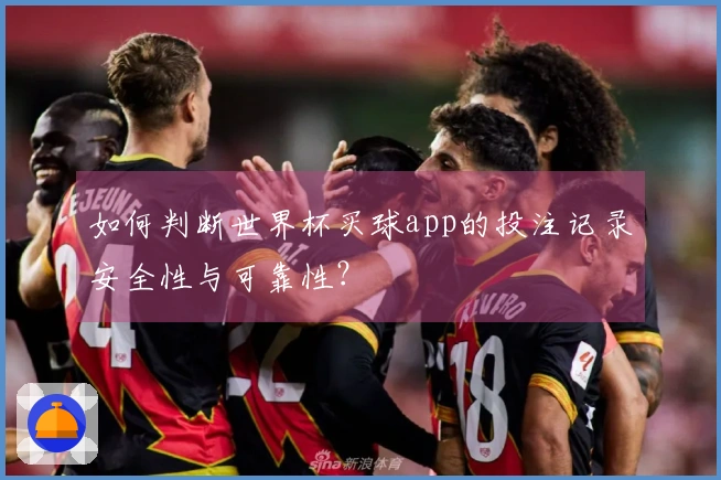 如何判断世界杯买球app的投注记录安全性与可靠性？