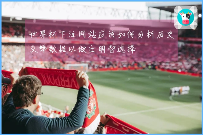 世界杯下注网站应该如何分析历史交锋数据以做出明智选择