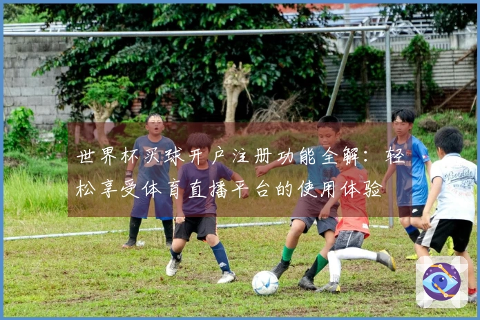 世界杯买球开户注册功能全解：轻松享受体育直播平台的使用体验