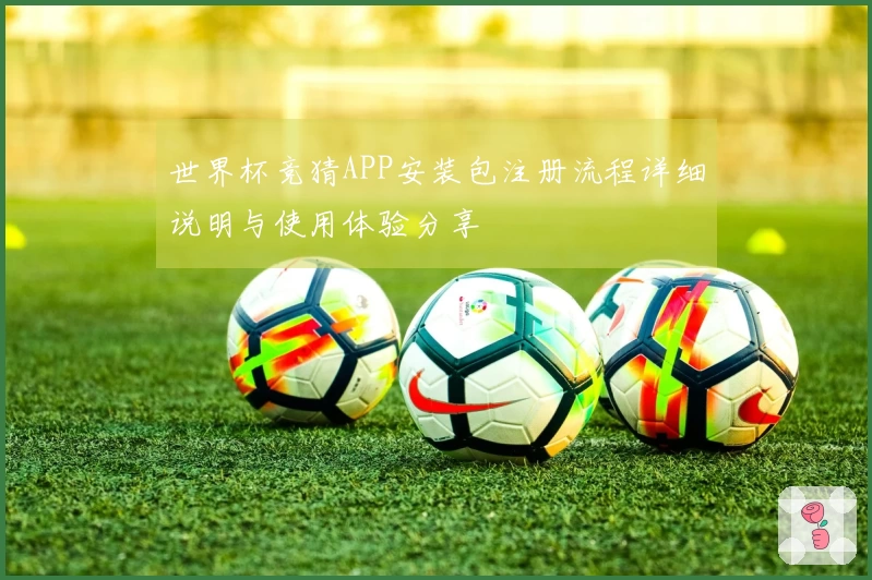 世界杯竞猜APP安装包注册流程详细说明与使用体验分享