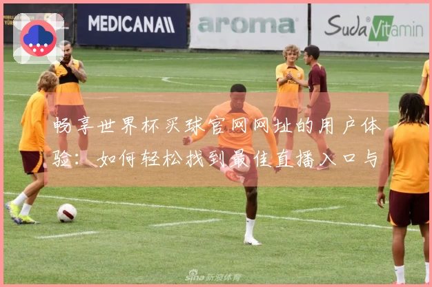 畅享世界杯买球官网网址的用户体验：如何轻松找到最佳直播入口与功能介绍