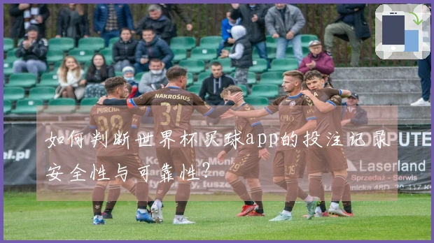 如何判断世界杯买球app的投注记录安全性与可靠性？