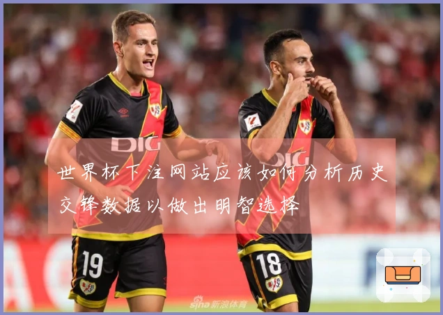 世界杯下注网站应该如何分析历史交锋数据以做出明智选择